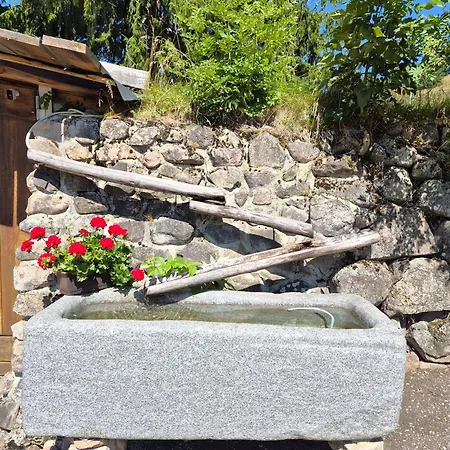 Echtes Schwarzwaldhaus - Traditionell & Modern