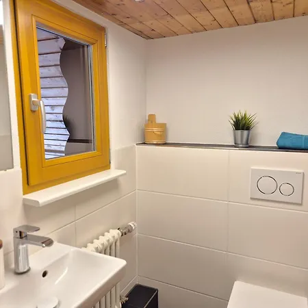 Echtes Schwarzwaldhaus - Traditionell & Modern Daire Bernau im Schwarzwald