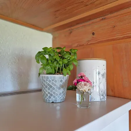 Daire Echtes Schwarzwaldhaus - Traditionell & Modern Bernau im Schwarzwald