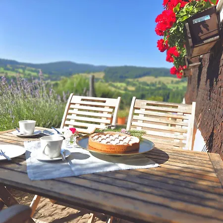 Echtes Schwarzwaldhaus - Traditionell & Modern *