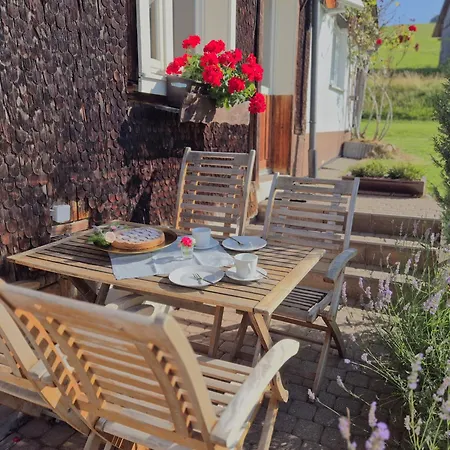 Echtes Schwarzwaldhaus - Traditionell & Modern Bernau im Schwarzwald