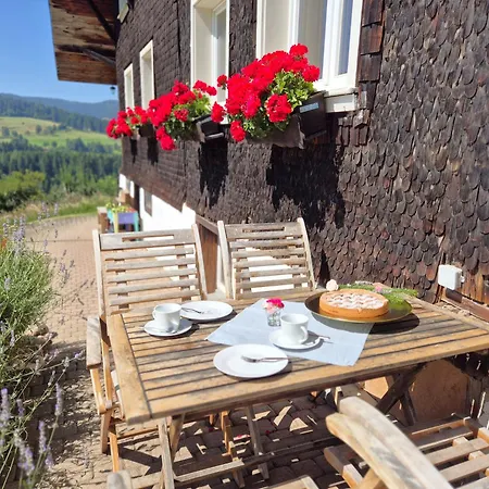 Echtes Schwarzwaldhaus - Traditionell & Modern דירה