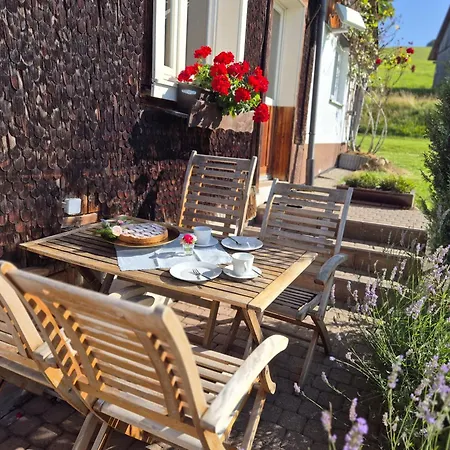 Echtes Schwarzwaldhaus - Traditionell & Modern Bernau im Schwarzwald