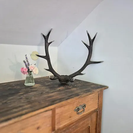 Echtes Schwarzwaldhaus - Traditionell & Modern * ברנאו אים שוורצוואלד