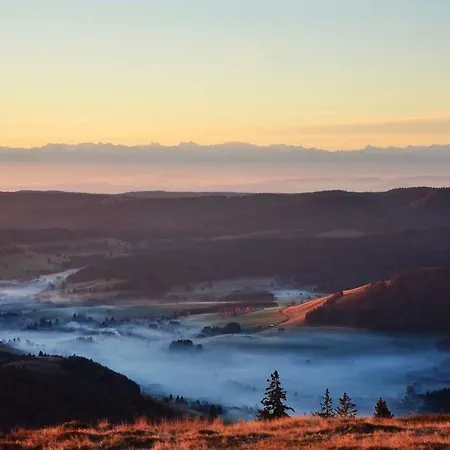 דירה Echtes Schwarzwaldhaus - Traditionell & Modern *