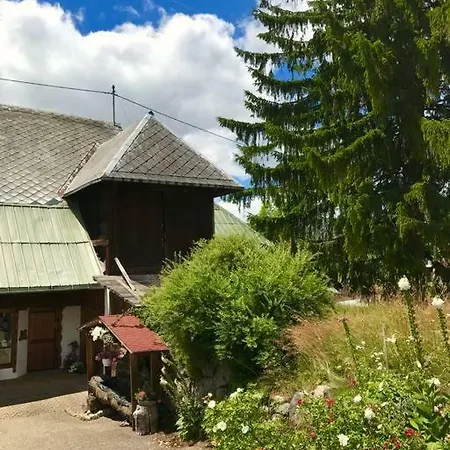 Echtes Schwarzwaldhaus - Traditionell & Modern *