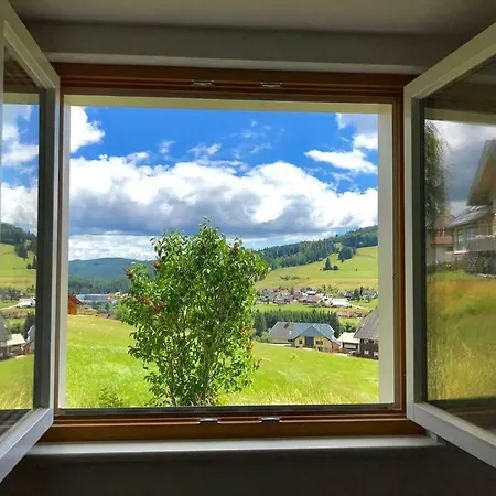 Apartment Echtes Schwarzwaldhaus - Traditionell & Modern