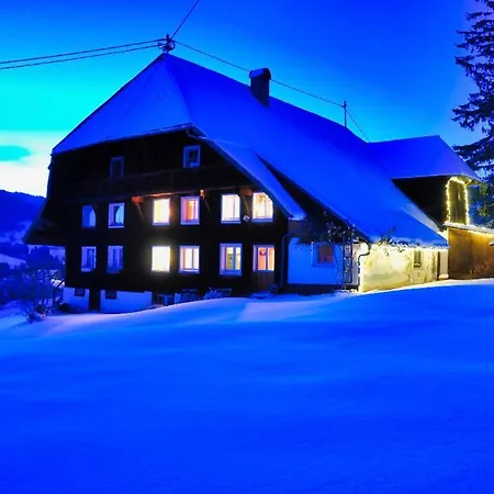 Echtes Schwarzwaldhaus - Traditionell & Modern Daire