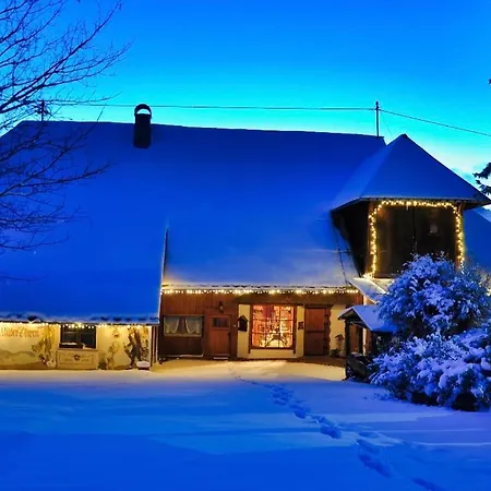 Echtes Schwarzwaldhaus - Traditionell & Modern Daire Bernau im Schwarzwald